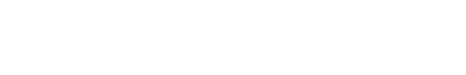 Fortesec